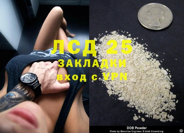 дживик Алзамай