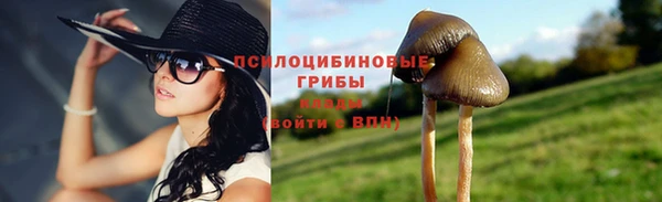 дживик Алзамай