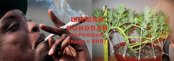 ГАЛЛЮЦИНОГЕННЫЕ ГРИБЫ Абаза